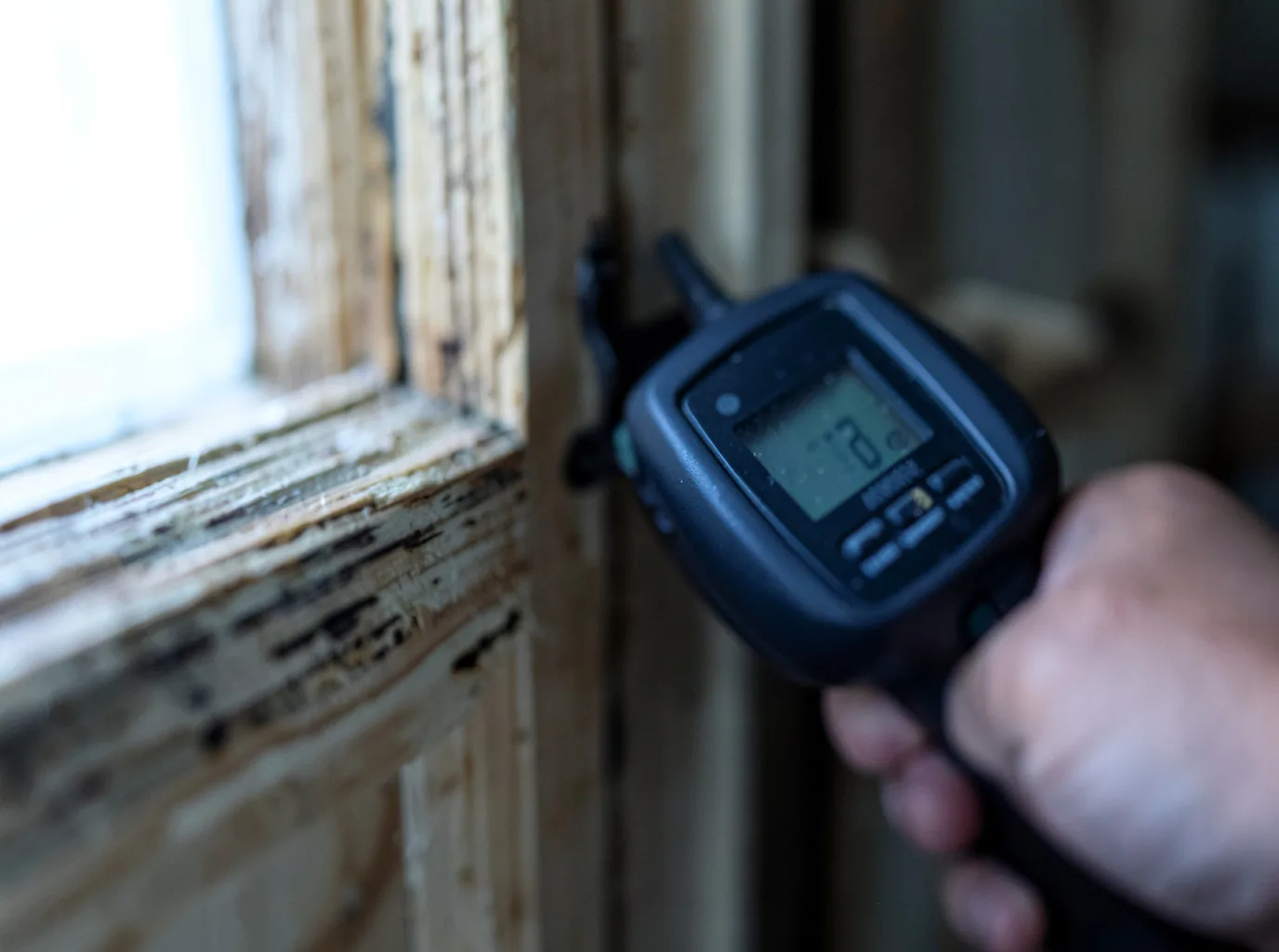 Commercial Water Damage Restoration in Blooming Grove, TX